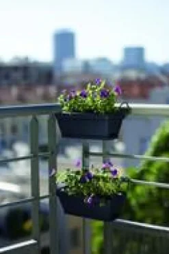 Clearance EDA Jardinière avec soucoupe clipsée en plastique recyclé et support anthracite Poetic Babyroméo - 28 x 16 x 10 cm