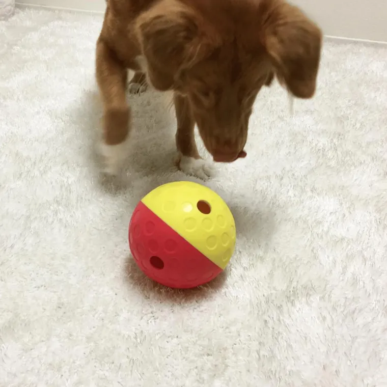 Clearance NINA OTTOSSON Jouet pour chien coloris rouge balle à friandises – Taille L