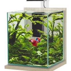 ZOLUX Kit aquarium Jalaya XL coloris zebrano gris - 25 x 25 x 30 cm