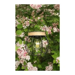 Discount WATT & HOME Lanterne à poser Sienna à LED H 11,5 cm