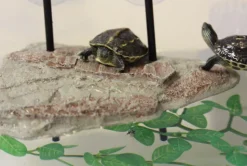 Best REPTILE PLANET Île flottante pour tortue aquatique avec ascenseur coloris marron Turtle Island - Taille S - 17 x 12,5 x 2,3 cm