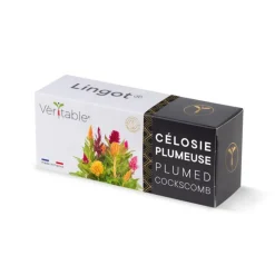 Discount VÉRITABLE Lingot® Célosie plumeuse Véritable®