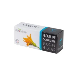 Discount VÉRITABLE Lingot Fleurs de Courgette Bio