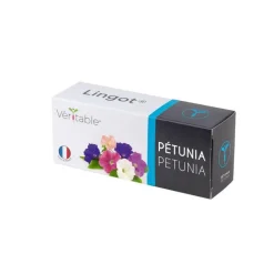 Hot VÉRITABLE Lingot Pétunia Bio
