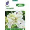 Sale BOTANIC® Lys Oriental Double Polar Star blanc - 1 bulbe