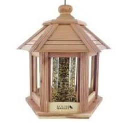 Outlet Mangeoire Gazebo junior