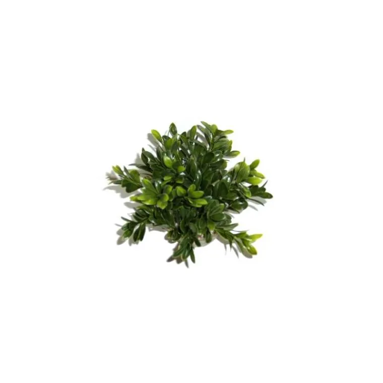 Discount LABEO Massif rond coloré vert en plastique 10 x 15 cm