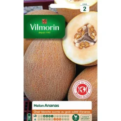 Clearance VILMORIN Melon Ananas d'Amérique - graines à semer