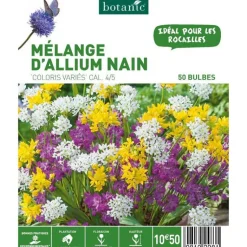 Online BOTANIC® Mélange d'Allium - 50 bulbes