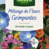 Discount VILMORIN Mélange de fleurs grimpantes - graines à semer pour 4 m² de surface