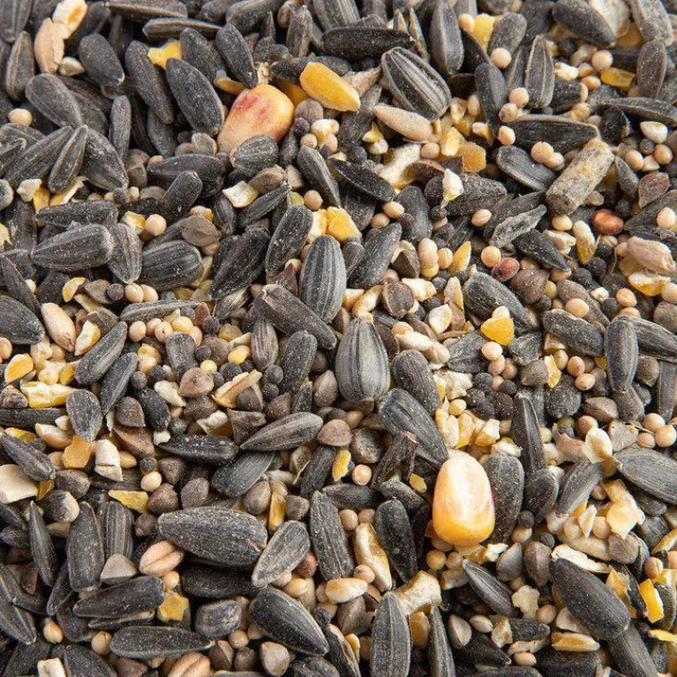 Hot GRAIN DE VIE Mélange de graines bio pour oiseaux - 5kg