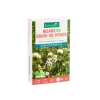 BOTANIC® Mélange de graines couvre-sol pour potager bio - graines à semer (30 m²)