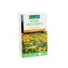Discount BOTANIC® Mélange de graines pour talus et rocaille - graines à semer (10 m²)