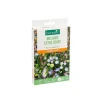 BOTANIC® Mélange Extra court - graines à semer (5 m²)