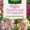 VILMORIN Muflier Gueule de loup Tom Pouce Varié - graines à semer
