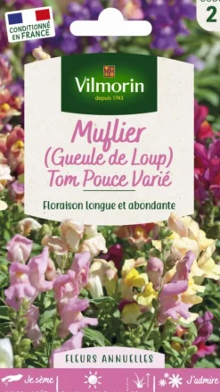 VILMORIN Muflier Gueule de loup Tom Pouce Varié - graines à semer