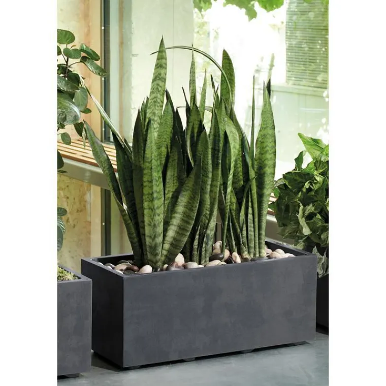 Discount DEROMA Muret Millenium Anthracite à réserve d'eau 26 litres