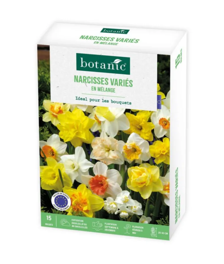 Clearance BOTANIC® Narcisse en mélange - 15 bulbes