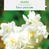 Best BOTANIC® Narcisse pluriflore - 9 bulbes
