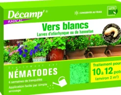 Sale DECAMP Nématodes contre vers blancs 10 plantes