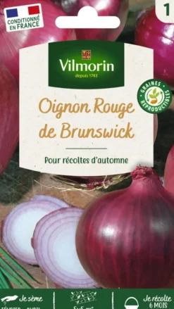 Outlet VILMORIN Oignon rouge de Brunswick - graines à semer