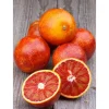 Discount Orange sanguine Moro bio d'Italie - Prix au kg