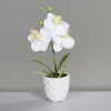 Hot ARTF Orchidée artificielle blanche avec pot en céramique crème – 25 cm