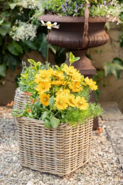 Best EDELMAN Panier carré en osier gris Marcia - 33 x 33 x 30 cm