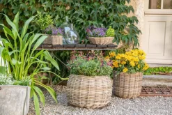 Clearance EDELMAN Panier rond en osier gris Marcia - Ø 26 x H 24 cm