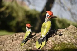 Hot CHOUETTE & CO Pic vert en métal recyclé grand modèle