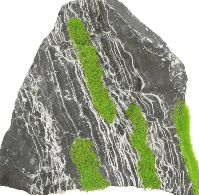 New ZOLUX Pierre bicolore avec plante aquatique pour aquarium stone « ki pousse » M