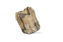 Discount AQUAVIE Pierre décorative pour aquarium coloris marron bois fossilisé - Taille S