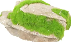 Sale ZOLUX Pierre grise avec plante aquatique pour aquarium grey stone « ki pousse » M