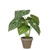 Clearance EDELMAN Plante artificielle Caladium vert en pot gris Stan - Ø 21 x H 28 cm