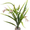 Outlet LABEO Plante artificielle pour aquarium coloris vert et rose Tillandsia PM