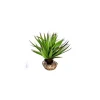 Sale LABEO Plante succulente verte en tissu moyen modèle Ø 10 cm