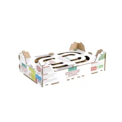 Sale BOTANIC® Plants de pomme de terre Delikatesse bio par 60