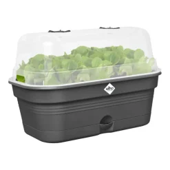 ELHO Plateau de culture en plastique recyclé coloris living noir avec couvercle serre Green Basics Allin1 taille M - 18 x 32 x 13,2 cm