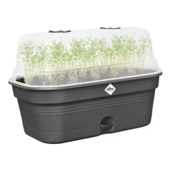 ELHO Plateau de culture en plastique recyclé coloris living noir avec couvercle serre Green Basics Allin1 taille M - 18 x 32 x 13,2 cm