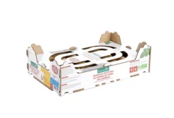 Clearance BOTANIC® Pomme de terre Maïwen bio calibre 0001 semences à planter - La clayette de 100 plants