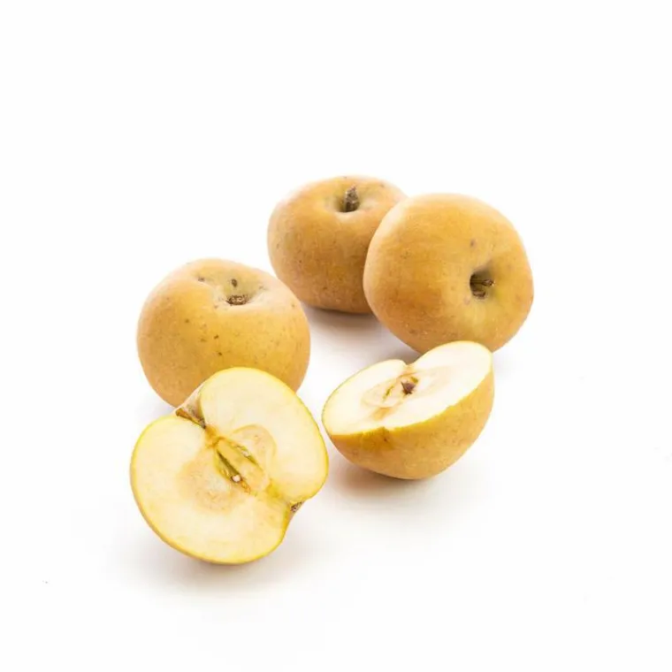 Outlet Pomme Patte de Loup de France - Prix au kg