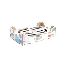 BOTANIC® Pommes de terre Desiré bio calibre 0001, 60 plants