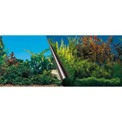 Sale EUROPET Poster d'aquarium paysage sous-marin - EBI Beauty/Sea - 120x50 cm