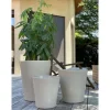Sale LES POTERIES D'ALBI Pot coloris beige en terre émaillée Sydney - Ø 25 cm