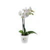 Discount ELHO Pot D13 cm provence orchidées transparent