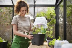 Online ELHO Pot de culture carré coloris living noir Green Basics Allin1 - 20 cm