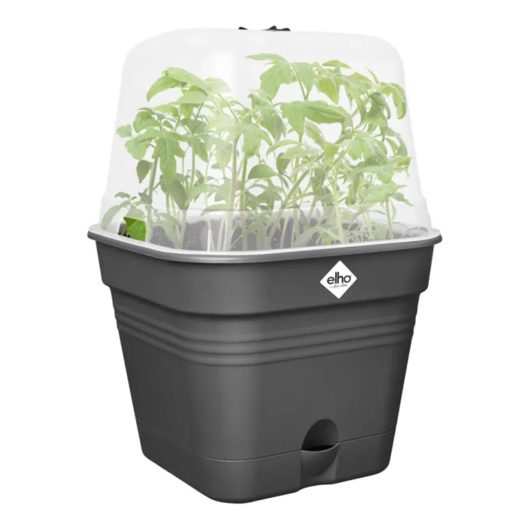 Online ELHO Pot de culture carré coloris living noir Green Basics Allin1 - 20 cm