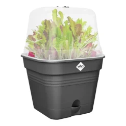 Online ELHO Pot de culture carré coloris living noir Green Basics Allin1 - 20 cm