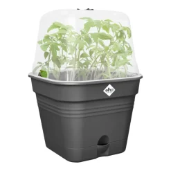 Online ELHO Pot de culture carré coloris living noir Green Basics Allin1 - 20 cm