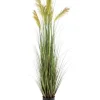 Discount Pot de graminée épis coloris vert - 205 x 22 x 20 cm
